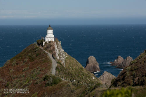 Leuchtturm am Nugget Point