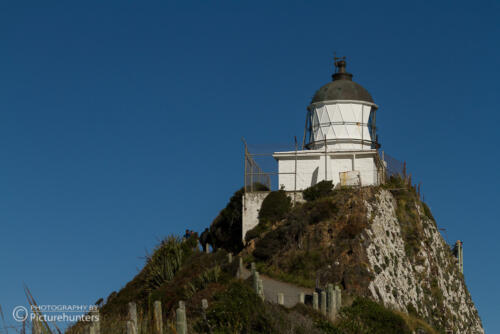 Leuchtturm am Nugget Point