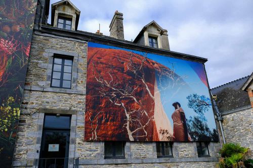 Tolle haushohe Bilder