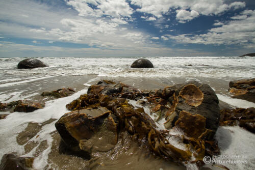 Moeraki-Boulders