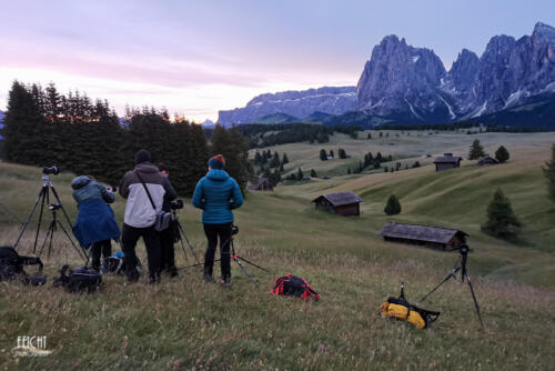 Warten auf den richtigen Moment