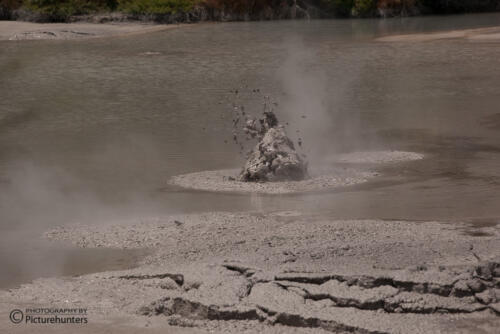 Te Puia Mudpool