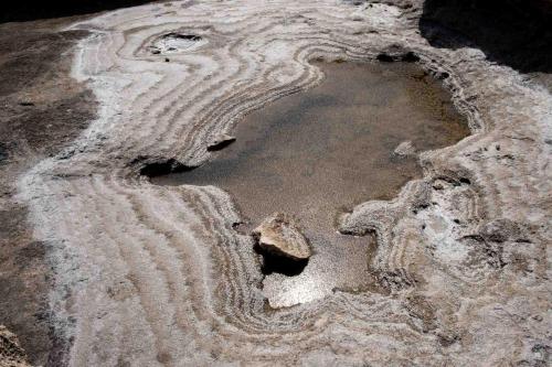 Salzpfütze an der Felsküste