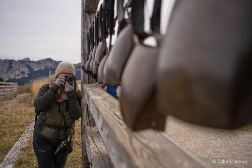 Glockenspiel einfangen