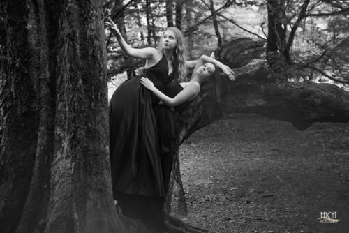 Schönheiten am Baum