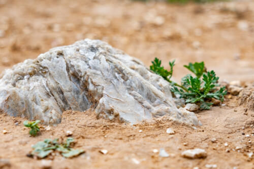 Ganz besondere Steine