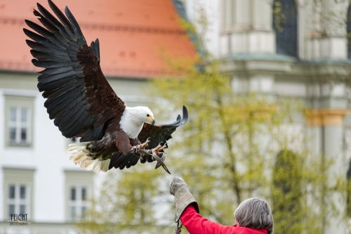 Kurz vor der Landung