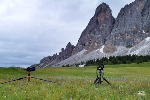 Warten auf das richtige Licht