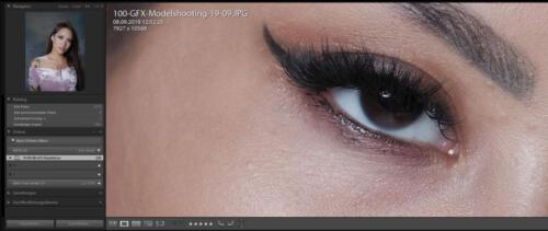 GFX 100 | 63 mm | ISO 100 | f 4,0 | 1/125 sec.