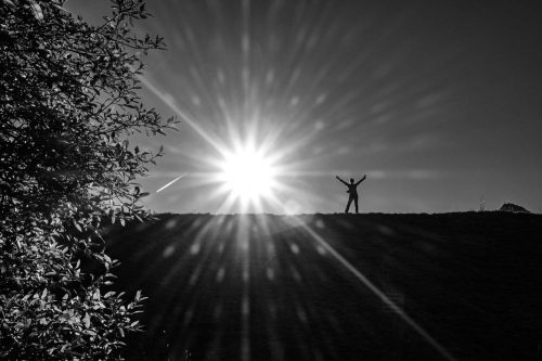 Gegenlicht-Spielerei