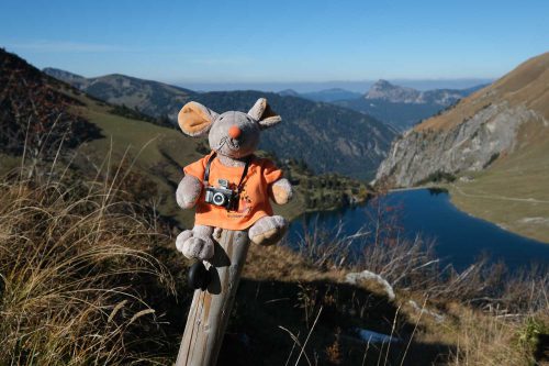 Knipsi war auch dabei