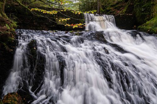 10-Vogesen-Wasserfall