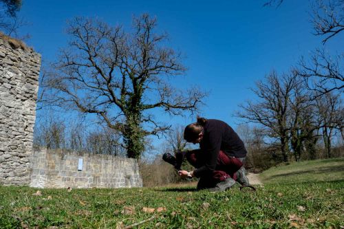 Besondere Blickwinkel