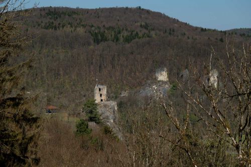 Blick zur Burgruine