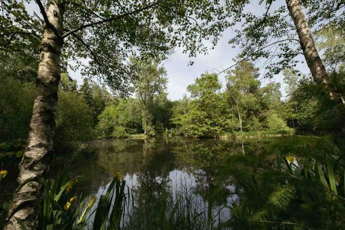 Birkensee