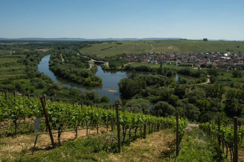 Mainschleifenblick