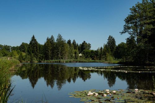 Der Moorweiher