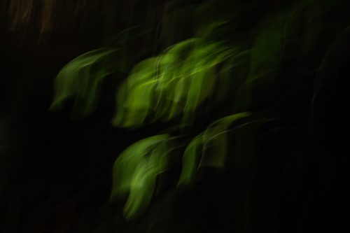 ICM-Blätter