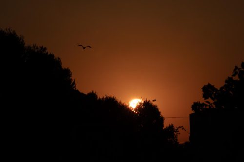 Sunrise