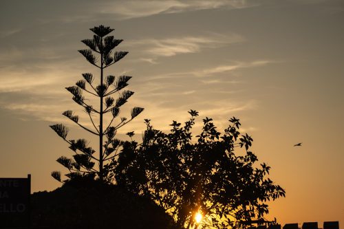 Abendstimmung