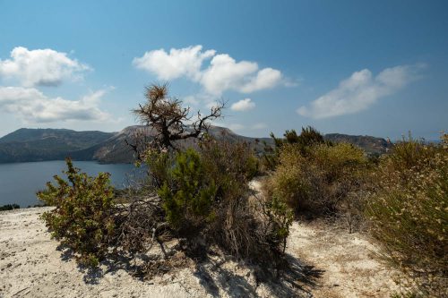 Fauna-Blick