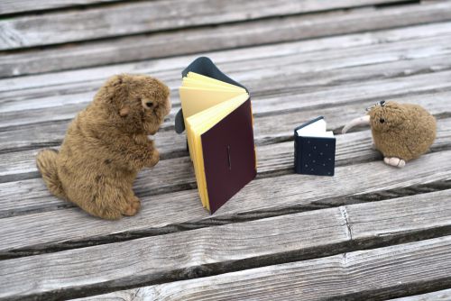 Flauschige Fotomodelle