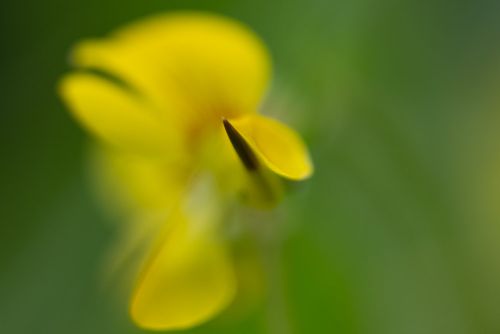 Arbeit mit viel Unschärfe