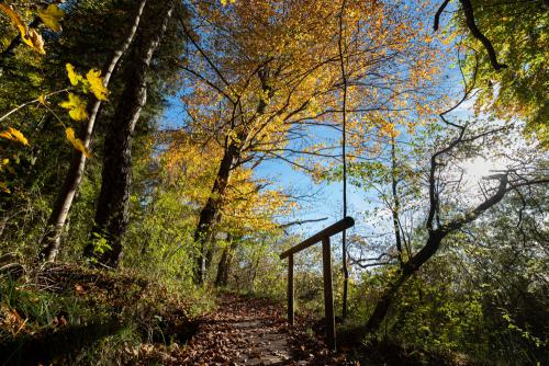 Herbstwege