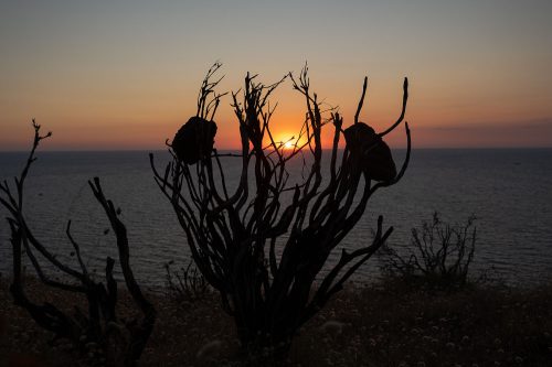 Wunderbarer Sonnenuntergang