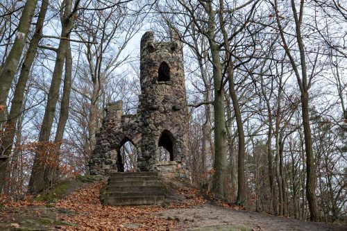 Turm im Wald