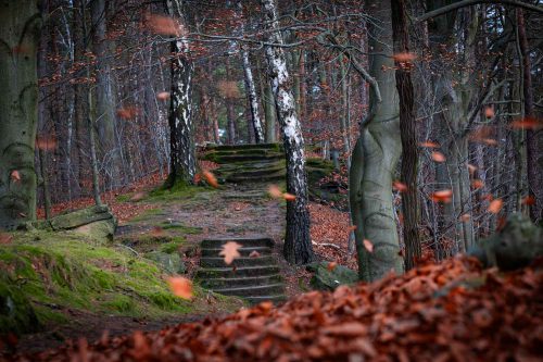 Herbstliche Treppen
