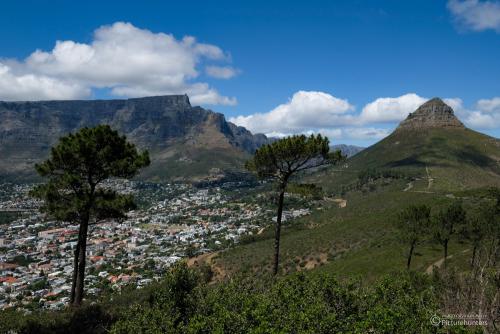 Tafelberg und Lionshead