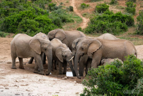 Am kleinen Wasserloch