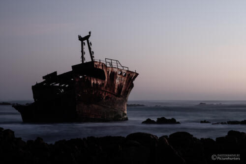 Wrack | Cape Agulhas