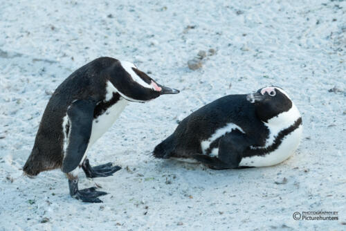 Also wenn ich so gucke...