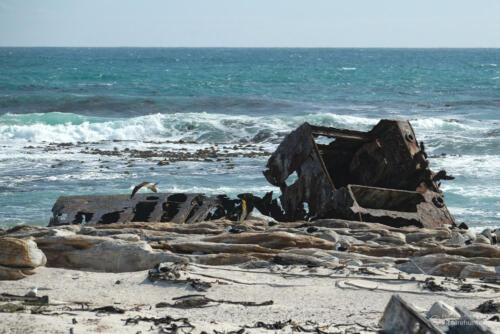 Wrack der Thomas T. Tucker