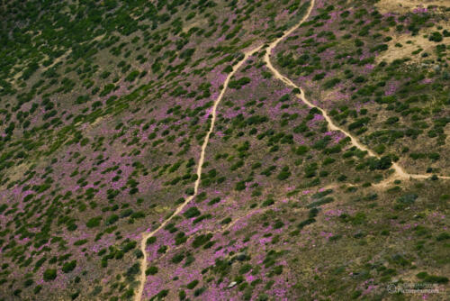 Wanderwege zum Signal Hill