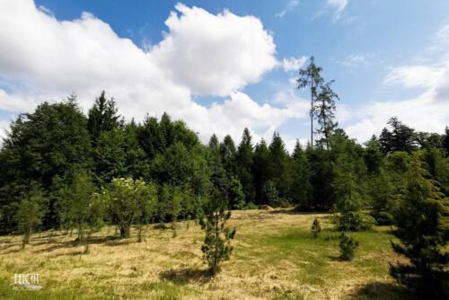 Ein kleiner Überblick