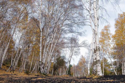 Angekommen im Herbst