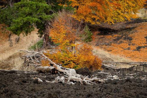 Bunte Vulkanlandschaft