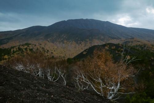 Ausblick vom Monti Sartorius