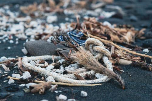 Fundstücke am Strand