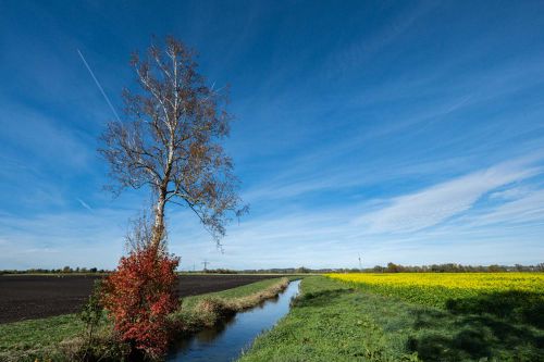 11-Raps im Herbst