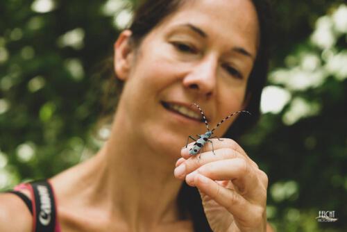 Ulla und der Alpenbock
