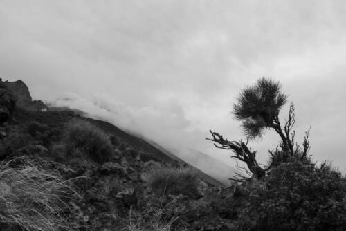 Die Wolken werden immer dichter