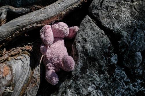 Verlorenes Stofftier